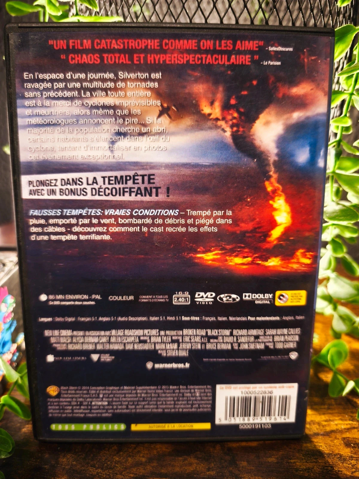 Black Storm – photo 2